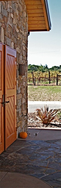 Our estate vineyard is just across the driveway from the winery